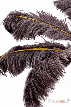 Struisvogel met gouden schacht - 30-40 cm - natuurlijk grijs